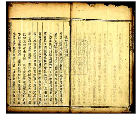 112611_湖南何氏族谱)何氏续修族谱_一.pdf